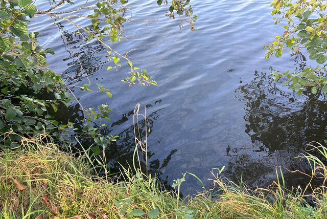Durch ein Rohr ist die milchige Flüssigkeit offensichtlich von einem Nebenfluss in die Stever gelaufen.