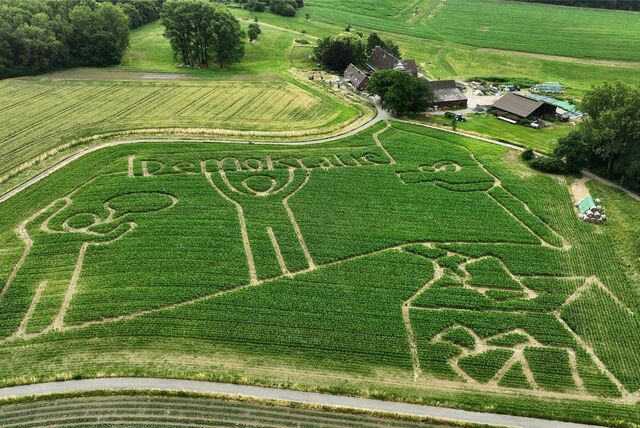 Das Maislabyrinth auf Hof Lünemann ist parallel zu den Halloweenaktionen geöffnet.