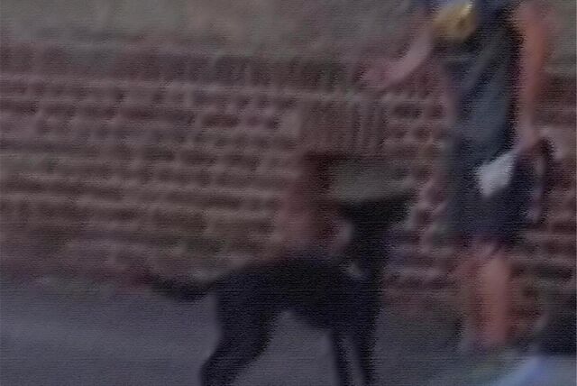 Mann, Hund