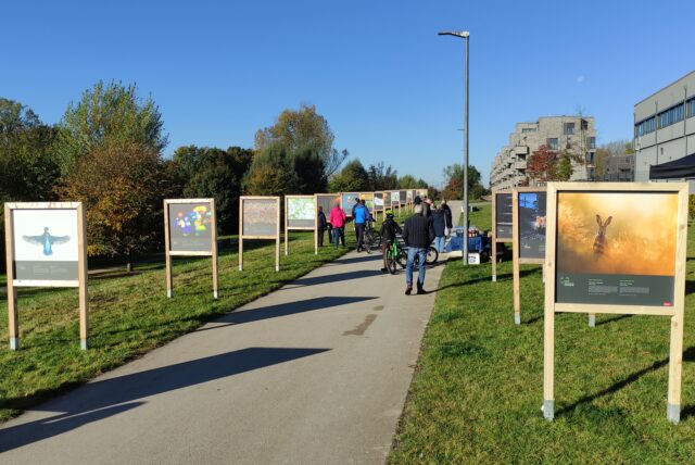 Die GDT-Ausstellung „Naturfotografie im Wandel der Zeit“ im Flusspark Lünen ist eröffnet und noch bis 30. November zu sehen.