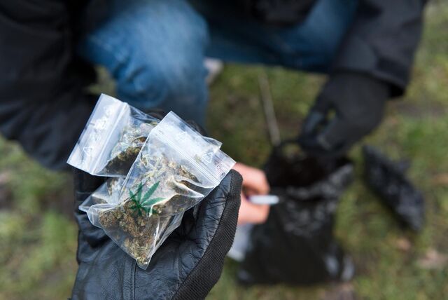 Eine Person hält in der Hand mit schwarzem Handschuh zwei Tüten Cannabis. Im Hintergrund untersucht eine weitere Person eine schwarze Plastiktüte.