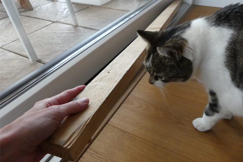 Katze, Terrassentür, Holzlatte, Tipp gegen Einbrecher Katze, Terrassentür, Holzlatte, Tipp gegen Einbrecher