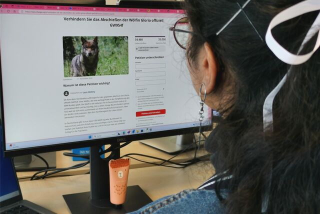 Eine Online-Petition gegen den Abschuss von Gloria ist gestartet.