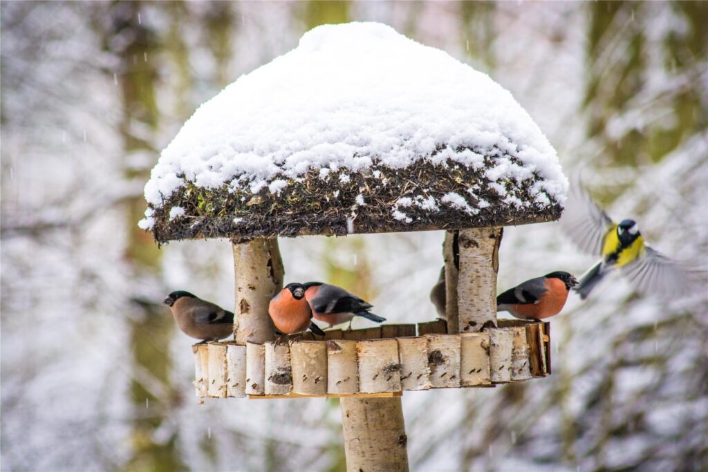 Vogelhaus im Schnee