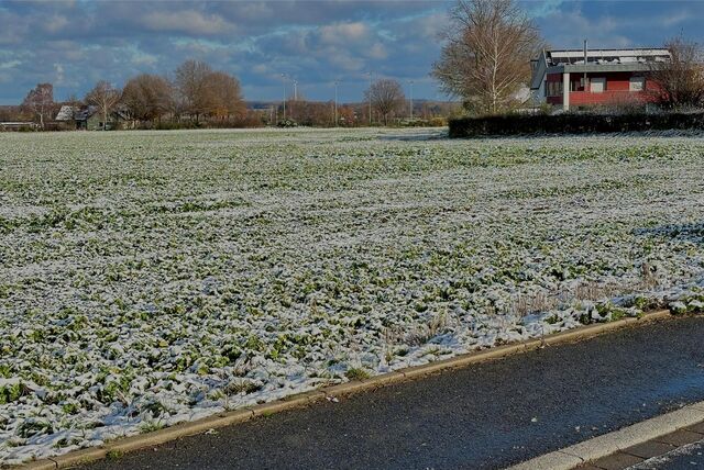 Ein Feld in Lünern, das zum Neubaugebiet werden soll.