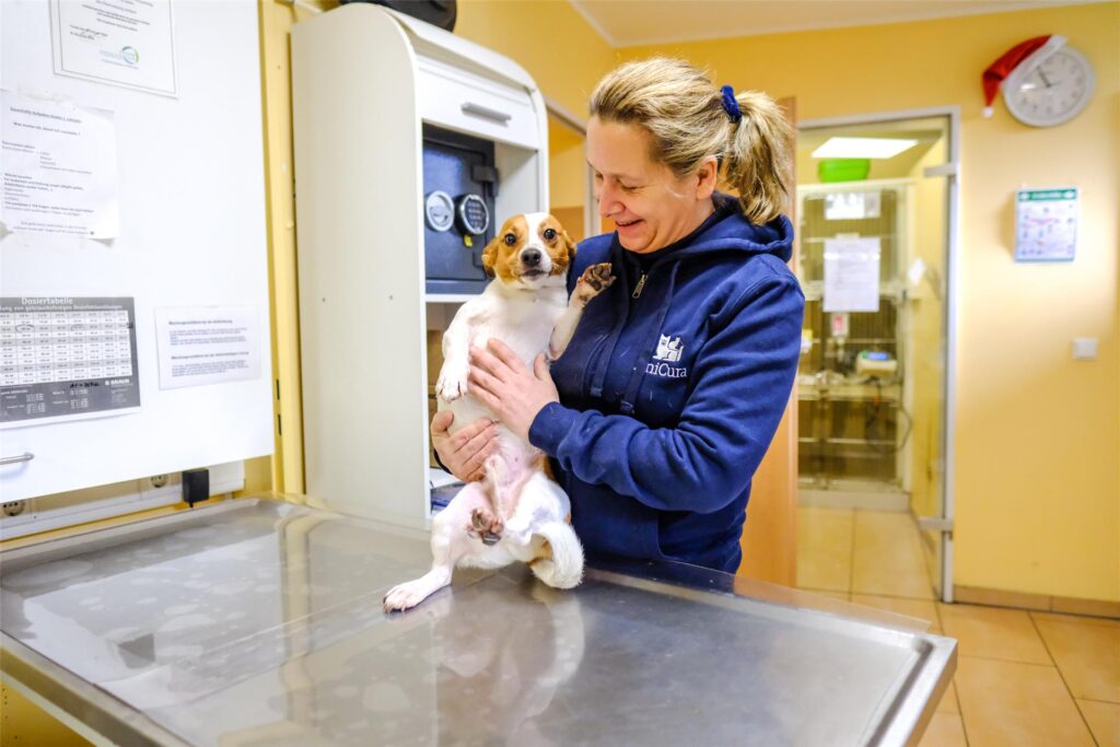 Antje Terdenge hält einen kleinen Hund im Arm, der auf dem Behandlungstisch steht. Antje Terdenge hält einen kleinen Hund im Arm, der auf dem Behandlungstisch steht.