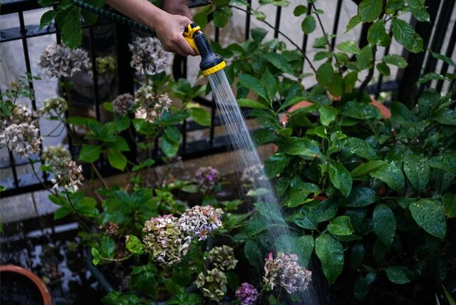 Gartenbewässerung im Sommer
