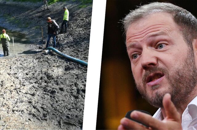 Eine Montage zeigt links Bauarbeiten am Bornekamp-Teich und rechts den Komiker Mario Barth.