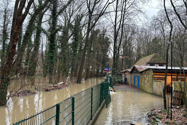 Marius Wetter
