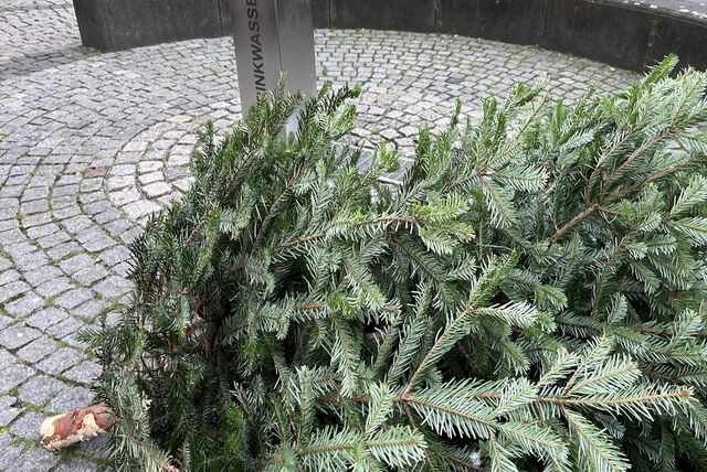 Ein Weihnachtsbaum mit angesägtem Stamm liegt in der Unnaer Innenstadt nahe dem Trinkwasserspender von Gelsenwasser.