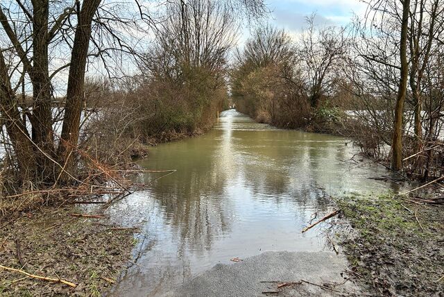 Ein von Bäumen und Sträuchern umgebener Fußweg. Eigentlich sind rechts und links davon Felder, auf dem Bild ist allerdings überall nur Wasser zu sehen. Der Fußweg und die Felder sind überflutet.