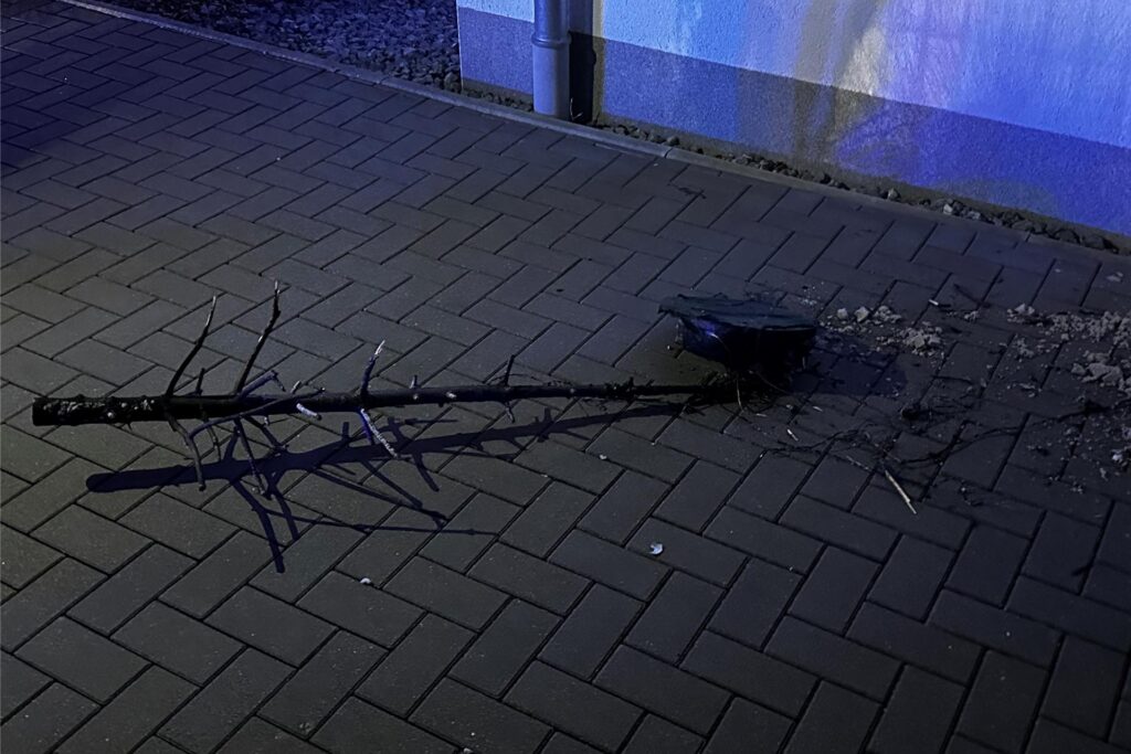 Nach einem Wohnungsbrand an der Mühlenbergstraße in Menden-Bösperde zeigt die Feuerwehr, was von dem Weihnachtsbaum der betroffenen Familie übrig geblieben ist: lediglich ein verkohltes Gerippe. Nach einem Wohnungsbrand an der Mühlenbergstraße in Menden-Bösperde zeigt die Feuerwehr, was von dem Weihnachtsbaum der betroffenen Familie übrig geblieben ist: lediglich ein verkohltes Gerippe.
