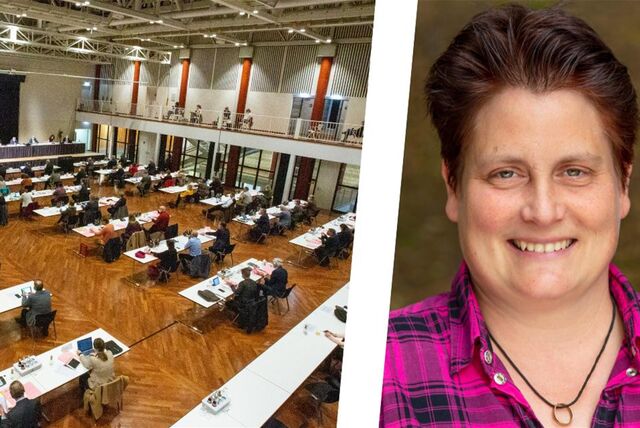 Montage aus Fotos von einer Sitzung des Kreistages in der Stadthalle in Unna und einem Porträtfoto von Kreistagsmitglied Daniela Heil