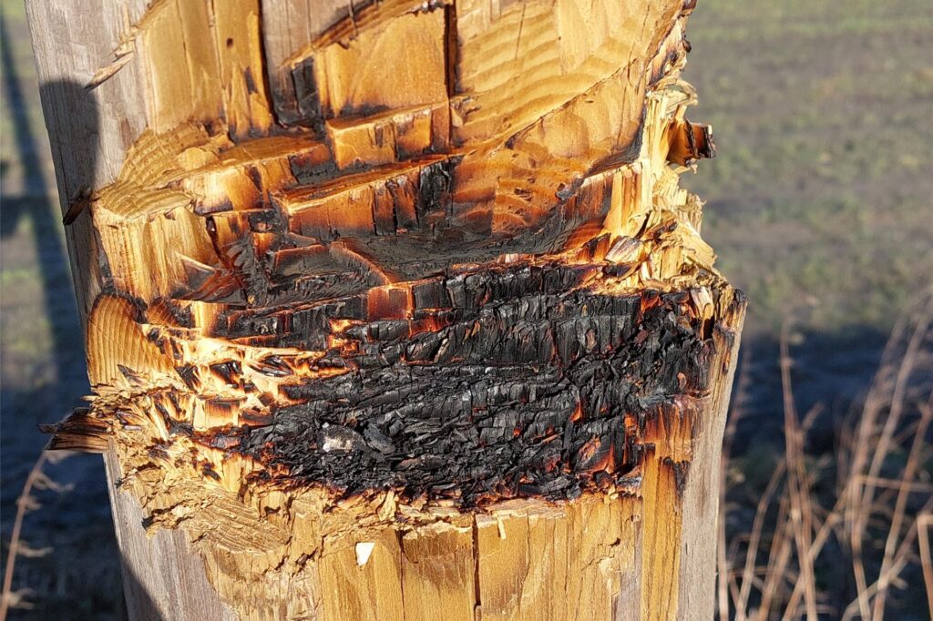Der Telefonmast wurde scheinbar nicht nur mit der Axt bearbeitet, sondern auch angezündet. Zumindest lassen dies die Brandspuren vermuten. 
