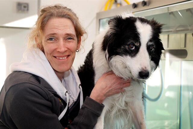 Tierärztin Dr. Silke Meermann mit einem schwarz-weißen Hund.