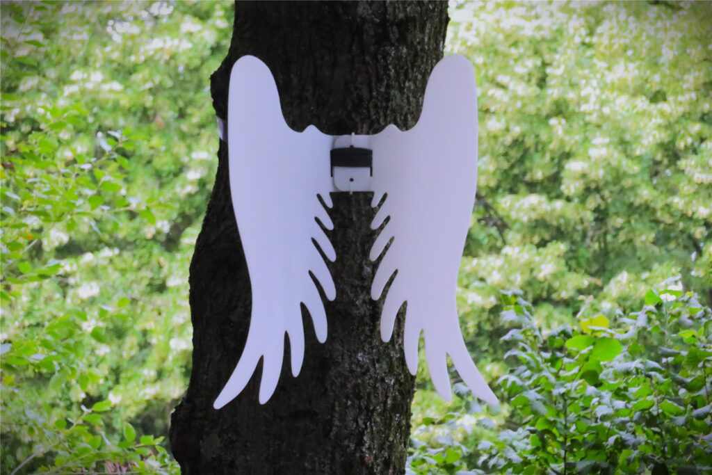 Engelsflügel hängen an einem Baum, der an der Hertingerstraße in Unna steht. 