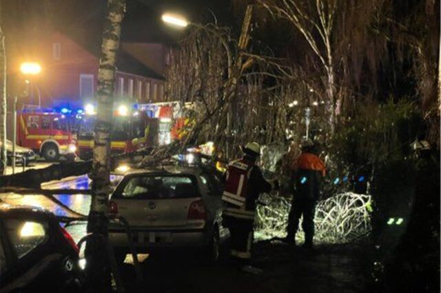In der Straße Lange Reihe ist am frühen Donnerstagmorgen eine Birke auf ein Auto gekracht.