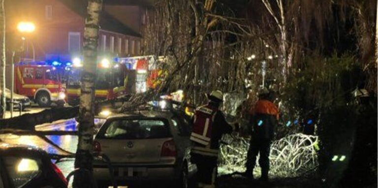 In der Straße Lange Reihe ist am frühen Donnerstagmorgen eine Birke auf ein Auto gekracht.