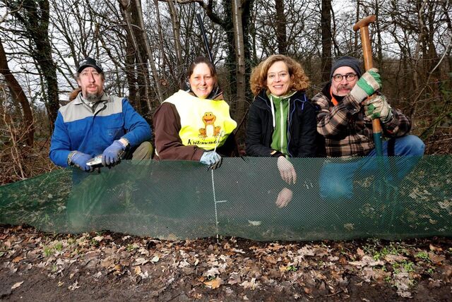 Krötenschützer hocken hinter einem Leitzaun für Amphibien, der sie vor dem Straßenverkehr schützen soll.