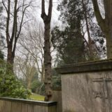 Auf dem Westfriedhof in Unna stehen zahlreiche Bäume rund um überwiegend alte Grabstätten.