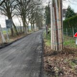 Die Massener Straße wird saniert und dafür wurden die Bäume eingeschalt.