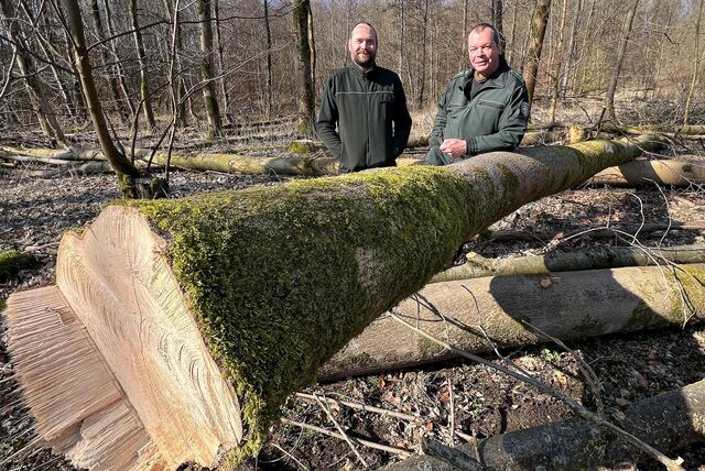 Bundesförster Jürgen Pesch (rechts) und Forstbetriebsassistent Martin Bokel stehen hinter einem gefällten Baum, dessen Stamm teilweise verfärbt ist.