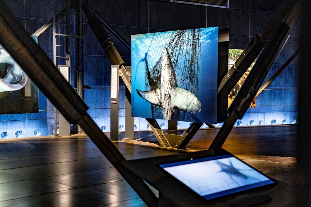 Fotos von Meeresbewohnern sind in der neuen Ausstellung 