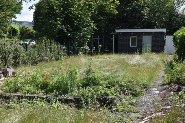 Zwei Gärten einer Kleingartenanlage an der Dortmunder Straße gehören mittlerweile dem Landesbetrieb Straßen.NRW.