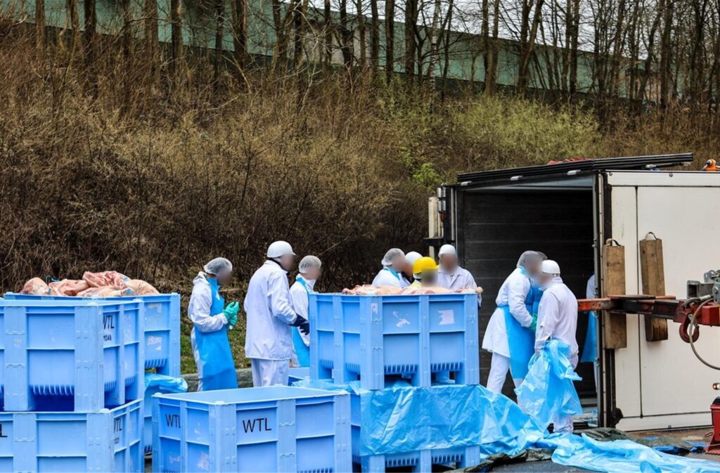 Mitarbeiter von Westfleisch bergen die Ladung des verunfallten Lkws auf der A45 bei Lüdenscheid-Nord. Dort war der Sattelschlepper mit 19 Tonnen Ladung am frühen Morgen gegen 7.16 Uhr verunfallt. Mitarbeiter von Westfleisch bergen die Ladung des verunfallten Lkws auf der A45 bei Lüdenscheid-Nord. Dort war der Sattelschlepper mit 19 Tonnen Ladung am frühen Morgen gegen 7.16 Uhr verunfallt.