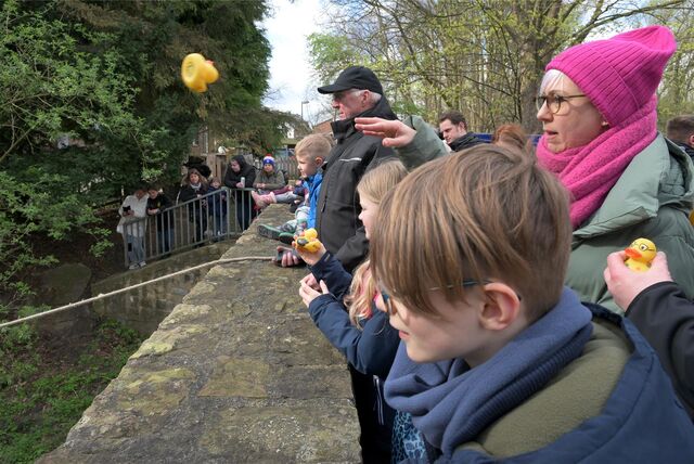 Kinder werfen beim ersten Werner Entenrennen in 2024 Enten in den Horne-Fluss.