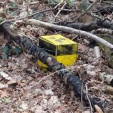 Ein Geocache in Form einer gelben Holzkiste auf Waldboden.