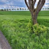 Bausenhagener Straße, Höhe Rammbachzufluss, Blick nach Südost: Hier sollte nach einem Antrag aus dem Jahr 2021 eine Hähnchenmastanlage entstehen.