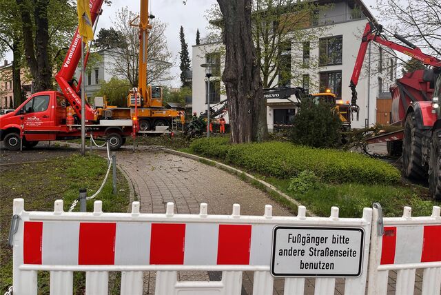 An der Ecke Friedrich-Ebert-Straße/Viktoriastraße, unweit des Kreishauskreisels, hatte die Stadt Unna die Fällung einer Kastanie veranlasst. Der Baum war krank.