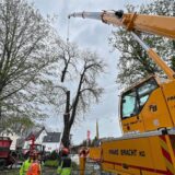 Am Haken eines Krans hängt ein Stück der Krone einer großen Kastanie. An diesem Donnerstag (4.4.) wurde der Baum an der oberen Friedrich-Ebert-Straße in Unna gefällt.