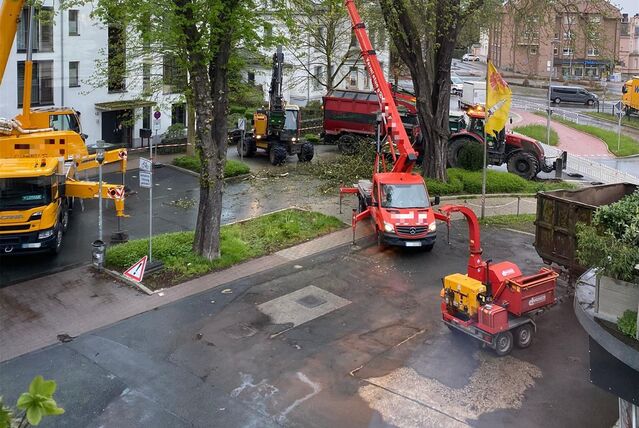 Auf der Friedrich-Ebert-Straße und dem angrenzenden Hof eines Kfz-Betriebs stehen am Donnerstag (4.4.) während einer Baumfällung Fahrzeuge und Maschinen.