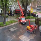 Auf der Friedrich-Ebert-Straße und dem angrenzenden Hof eines Kfz-Betriebs stehen am Donnerstag (4.4.) während einer Baumfällung Fahrzeuge und Maschinen.