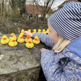 Viele Teilnehmer hatten ihre Enten bemalt.