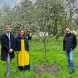 Erster Beigeordneter Sandro Wiggerich, Umweltausschuss-Vorsitzende Simone Hackenberg und Kurpark-Kümmerer Michael Witthüser an einem frisch gepflanzten Apfelbaum auf der Streuobstwiese im Kurpark Königsborn.