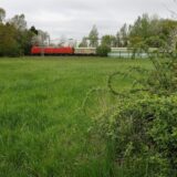 Fläche für den Bürgerwald Im Telgei in Methler
