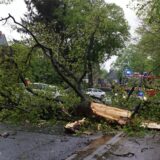 Ein Baum ist am 15. April 2024 auf die Kamener Straße gestürzt: Die Feuerwehr ist vor Ort.