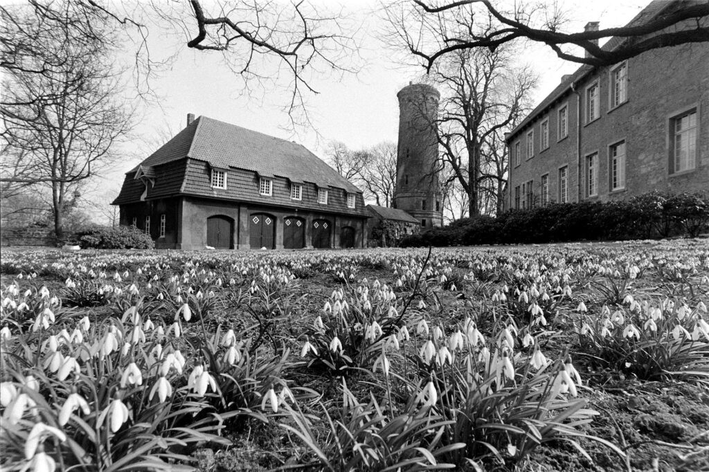 Schloss Cappenberg in Selm