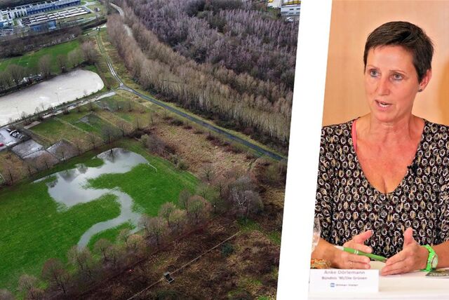 Bildermontage: Luftbild einer überfluteten Wiese und Anke Dörlemann, Grünen-Fraktionschefin in Kamen.