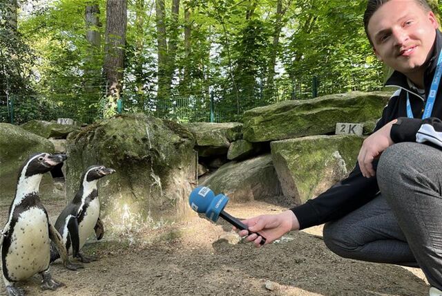 Tim Hübbertz interviewt Pinguine.