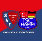SVF – TSC H