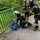 Feuerwehrleute bändigen ein Reh, das in einem Zaun steckt, um es möglichst gesund aus den Fängen des Zauns zu befreien.