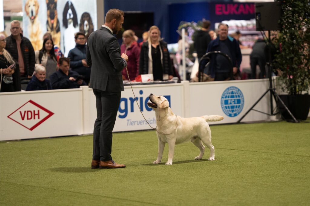 Rassehunde-Wettbewerb auf der Messe Dogs & Fun