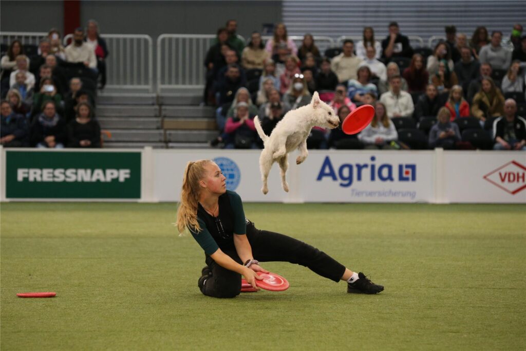 Julia Reinecke beim Dogfrisbee
