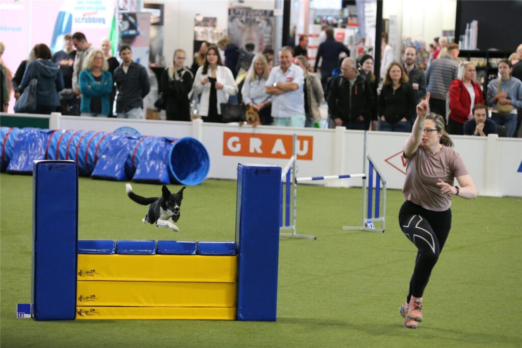 Agility auf der Messe Dogs & Fun
