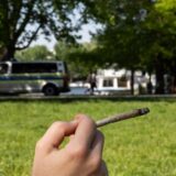 Ein Mensch hält einen Joint in der Hand.