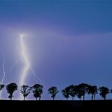 Blitzeinschlag in freier Landschaft mit Bäumen